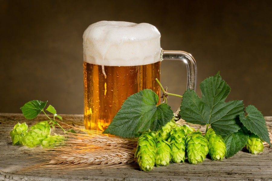 Le houblon dans la bière : un ingrédient clé pour un goût unique