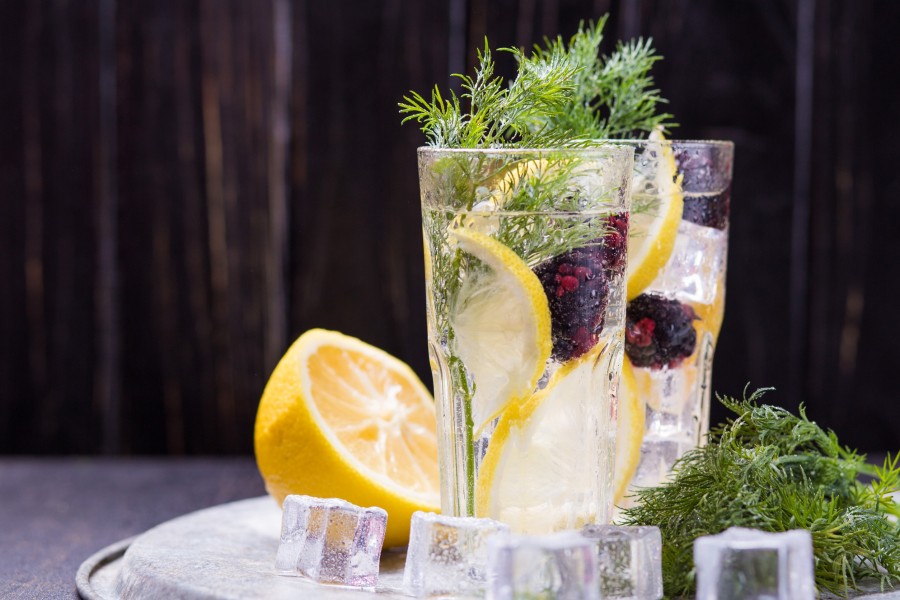 Quelles sont les différentes variations du cocktail gin tonic à découvrir ?