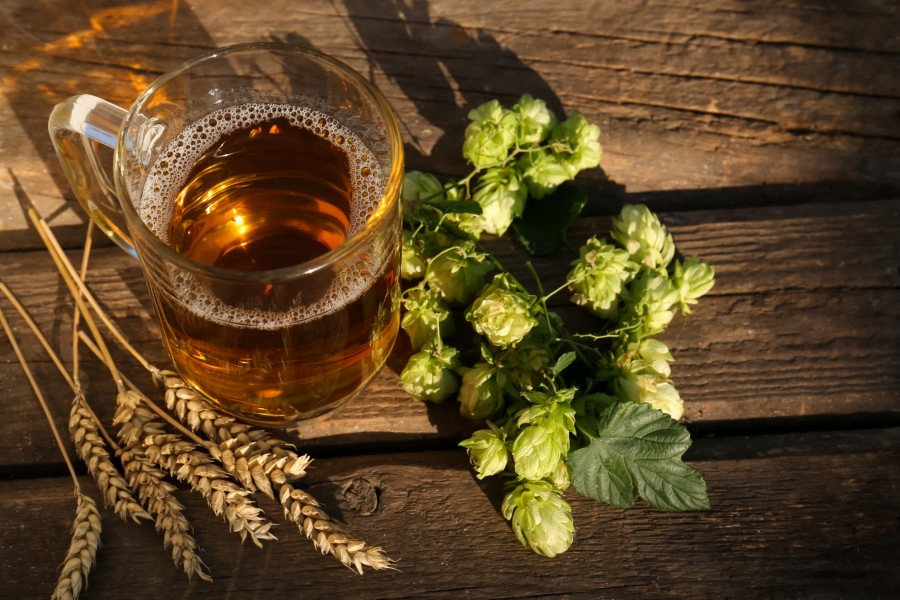 Quels sont les effets du houblon sur le goût et l’arôme de la bière ?