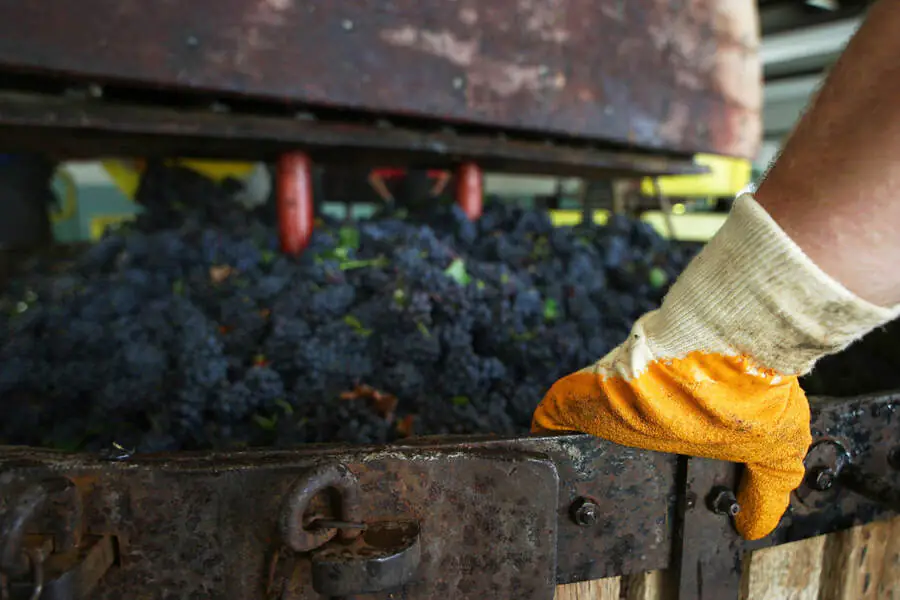 Qu'est-ce que la vinification du vin rouge ?