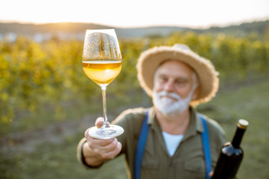 Pourquoi les vins naturels sont-ils si prisés aujourd'hui ?